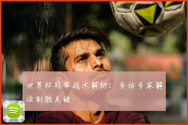 世界杯冠军战术解析：专访专家解读制胜关键