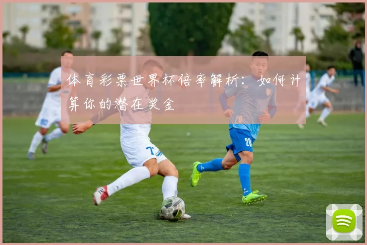 体育彩票世界杯倍率解析：如何计算你的潜在奖金