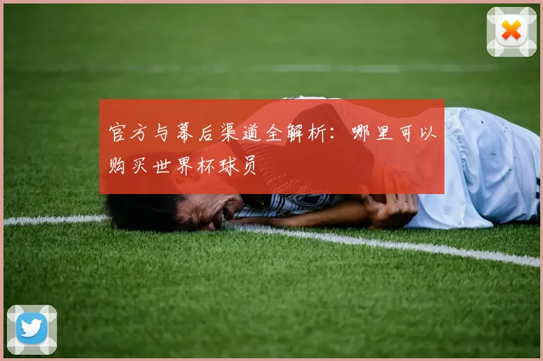 官方与幕后渠道全解析：哪里可以购买世界杯球员