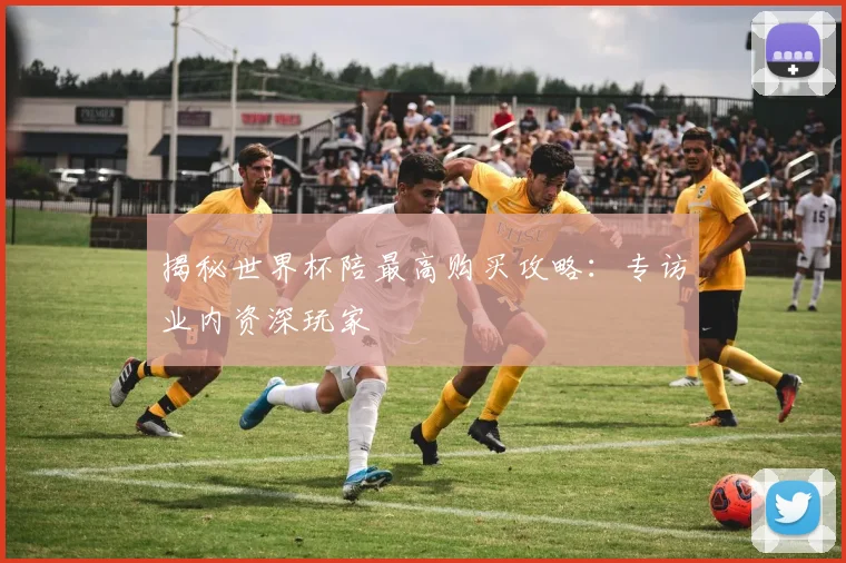 揭秘世界杯陪最高购买攻略:专访业内资深玩家