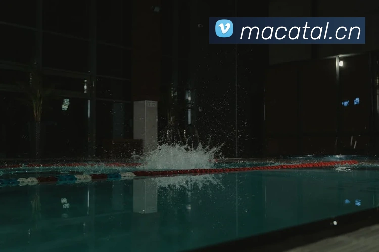 爱游戏登录官网入口平台生态图