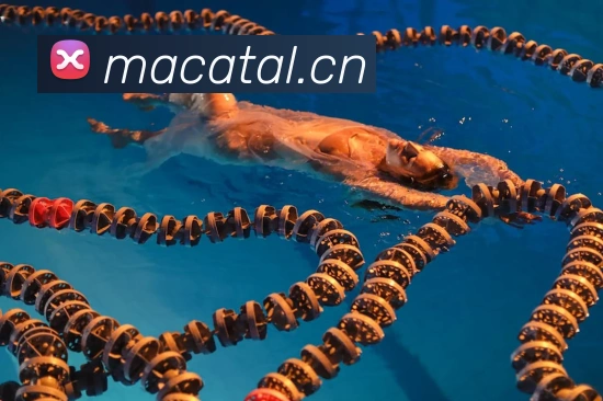 爱游戏登录官网入口APP 封面图