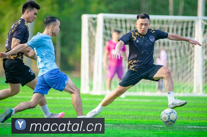 数据防护可视化